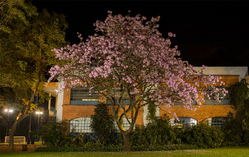 Nuestra maravillosa naturaleza